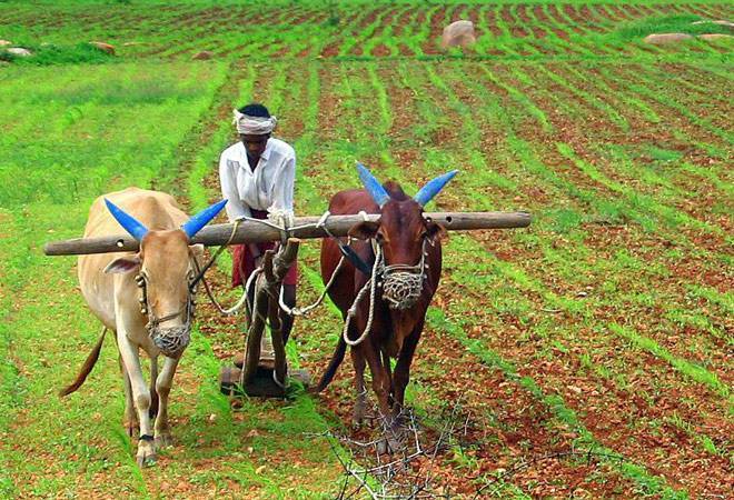 A review paper about major problems of crops yield reduction in Pakistan.